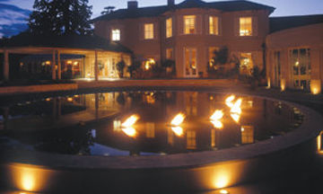The Vineyard