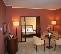 Hotel Grand Royal Room