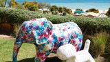 Martinhal Sagres Beach Family Resort Other