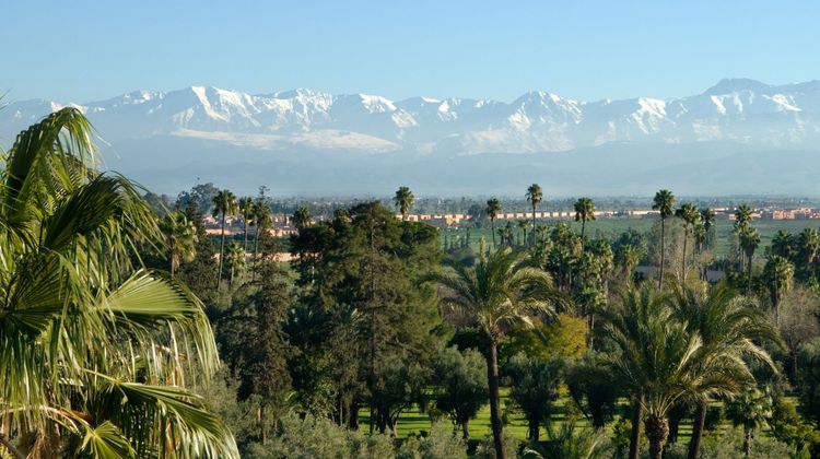 Hotel la Mamounia Other