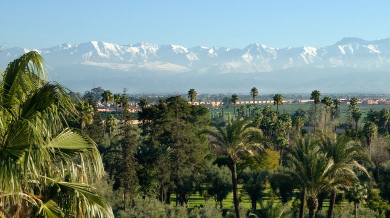 <b>Hotel la Mamounia Other</b>. Images powered by <a href="https://www.leonardoworldwide.com/" title="Leonardo Worldwide" target="_blank">Leonardo</a>.
