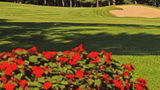 The Gideon Putnam Golf