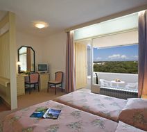 Pical Hotel Room
