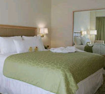 Orchard Garden Hotel Room
