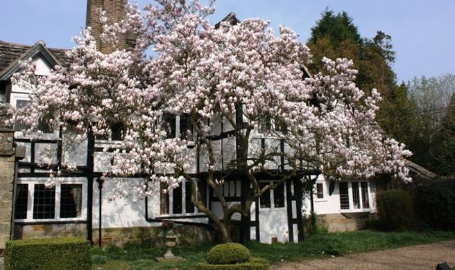Ockenden Manor Hotel Exterior