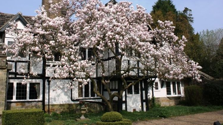 Ockenden Manor Hotel Exterior