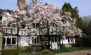 Ockenden Manor Hotel