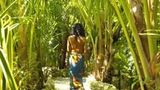 <b>Belize Boutique Resort and Spa Room</b>. Images powered by <a href="https://www.leonardoworldwide.com/" title="Leonardo Worldwide" target="_blank">Leonardo</a>.