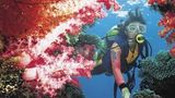 Jean-Michel Cousteau Fiji Islands Resort Recreation