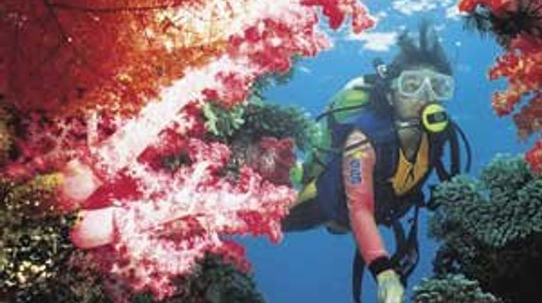 <b>Jean-Michel Cousteau Fiji Islands Resort Recreation</b>. Images powered by <a href="https://www.leonardoworldwide.com/" title="Leonardo Worldwide" target="_blank">Leonardo</a>.