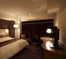 Hotel Ryumeikan Tokyo Room
