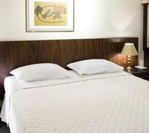 Plaza Blumenau Hotel Other