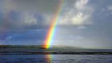 The Seaview Lodge Other
