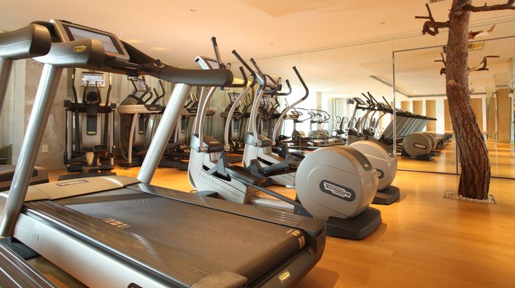 Banyan Tree Club & Spa Seoul Health Club