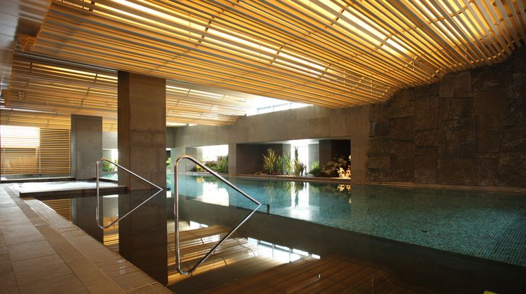 Banyan Tree Club & Spa Seoul Pool