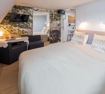 Mozaic Hotel Room