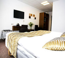 Hotel Thinggaard Room