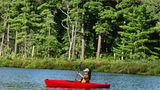 The Lodge at Woodloch Other