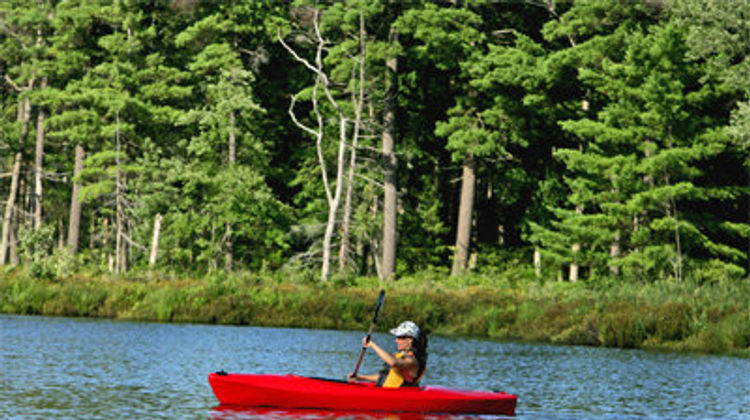 The Lodge at Woodloch Other