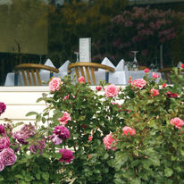 Kingsgate Hotel Te Anau