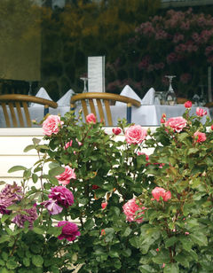 Kingsgate Hotel Te Anau
