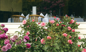 Kingsgate Hotel Te Anau