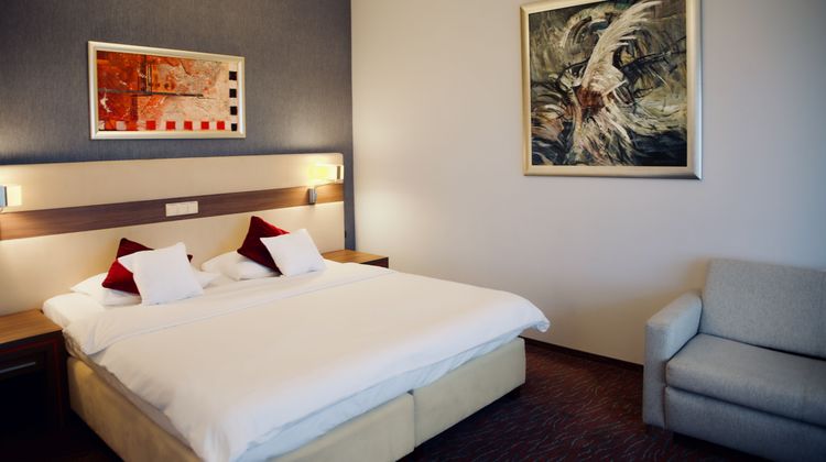 Hotel Szafran Room