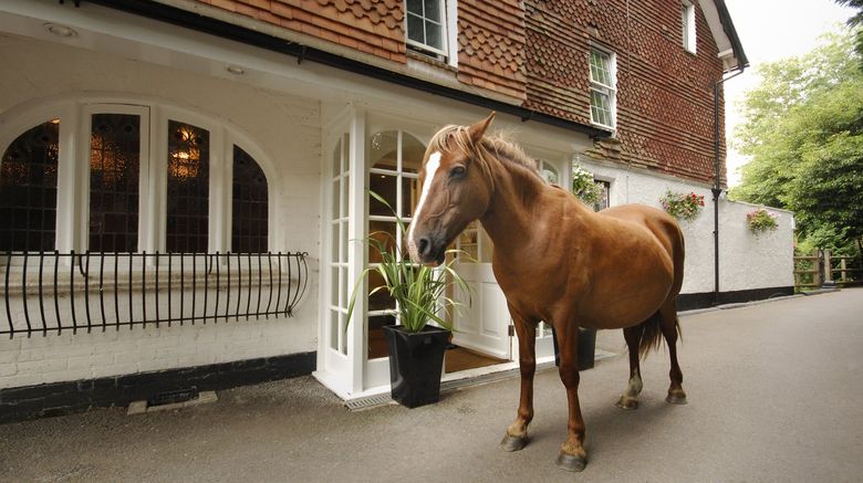 <b>Moorhill House Hotel Other</b>. Images powered by <a href="https://www.leonardoworldwide.com/" title="Leonardo Worldwide" target="_blank">Leonardo</a>.