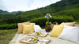 Cameron Highlands Resort Other