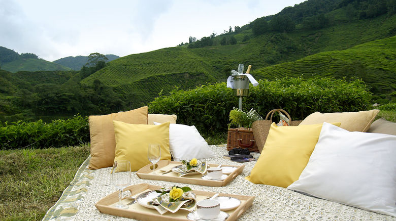 <b>Cameron Highlands Resort Other</b>. Images powered by <a href="https://www.leonardoworldwide.com/" title="Leonardo Worldwide" target="_blank">Leonardo</a>.
