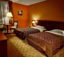 Hotel Grand Royal Room