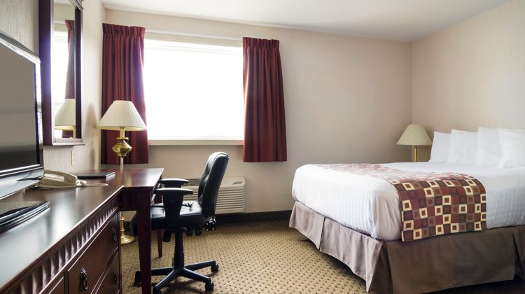 Albatross Hotel Room