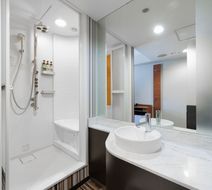 Hotel MyStays Nagoya-Sakae Room