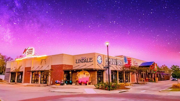 Holiday Inn Express & Suites Lindale Other
