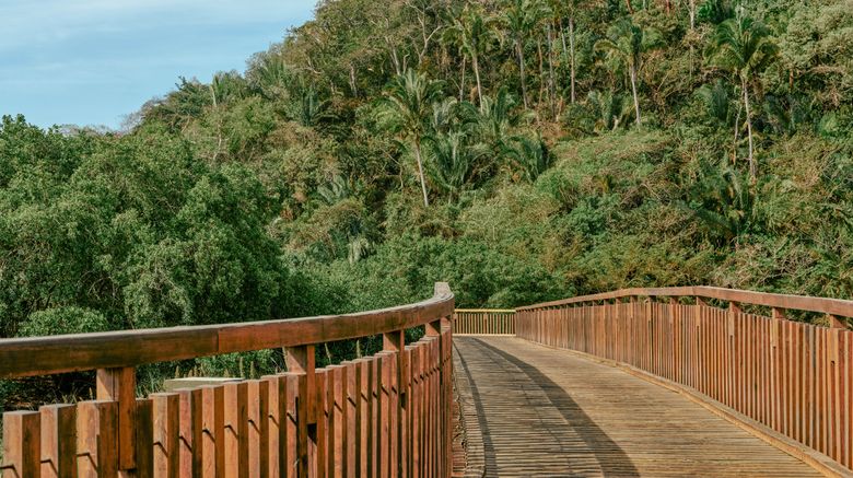 <b>Rosewood Mandarina Beach</b>. Images powered by <a href="https://www.leonardoworldwide.com/" title="Leonardo Worldwide" target="_blank">Leonardo</a>.