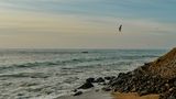 <b>Rosewood Mandarina Beach</b>. Images powered by <a href="https://www.leonardoworldwide.com/" title="Leonardo Worldwide" target="_blank">Leonardo</a>.