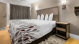 Red Roof Inn Tampa Fairgrounds - Casino Room