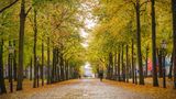voco The Hague Other