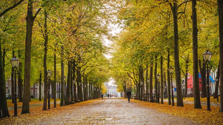 <b>voco The Hague Other</b>. Images powered by <a href="https://www.leonardoworldwide.com/" title="Leonardo Worldwide" target="_blank">Leonardo</a>.