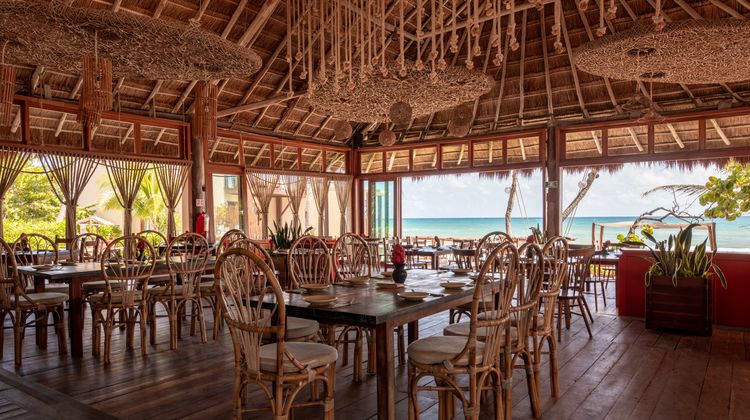 La Zebra Beach Cantina y Cabanas Restaurant