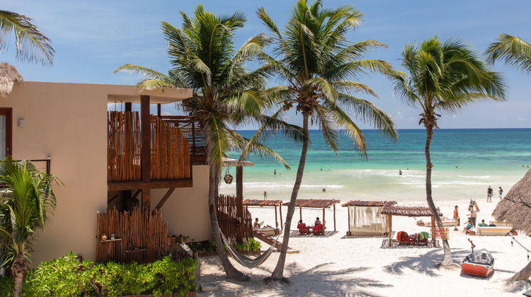 La Zebra Beach Cantina y Cabanas Beach