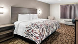<b>Red Roof Inn & Suites Lexington-Hamburg Exterior</b>. Images powered by <a href="https://www.leonardoworldwide.com/" title="Leonardo Worldwide" target="_blank">Leonardo</a>.