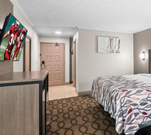 Red Roof Inn & Suites Lexington-Hamburg Exterior