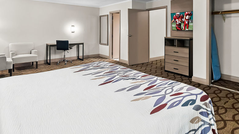 <b>Red Roof Inn & Suites Lexington-Hamburg Room</b>. Images powered by <a href="https://www.leonardoworldwide.com/" title="Leonardo Worldwide" target="_blank">Leonardo</a>.