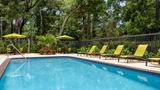 SpringHill Suites Sarasota Bradenton Pool