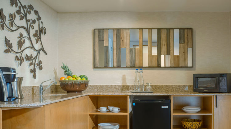 High Peaks Resort Suite