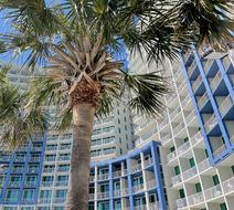 Avista Resort Exterior