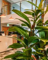 Voco Winchester Hotel & Spa