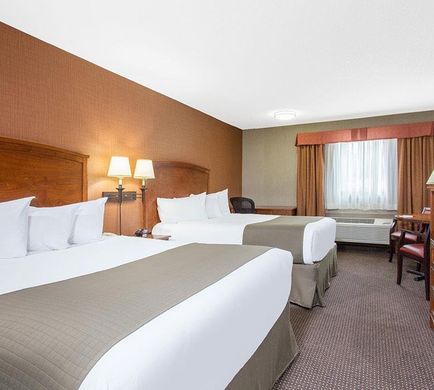 Basecamp Lodge Room