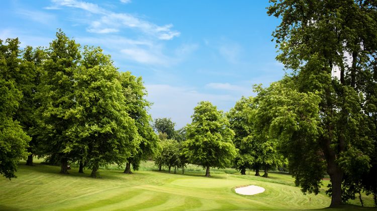 Shendish Manor Hotel Golf